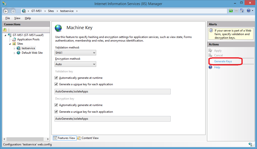 Machine key section of Internet Information Services (IIS) Manager
